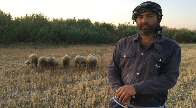 Siyaseti bıraktı çobanlık yapıyor!