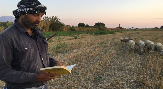 Siyaseti bıraktı çobanlık yapıyor!