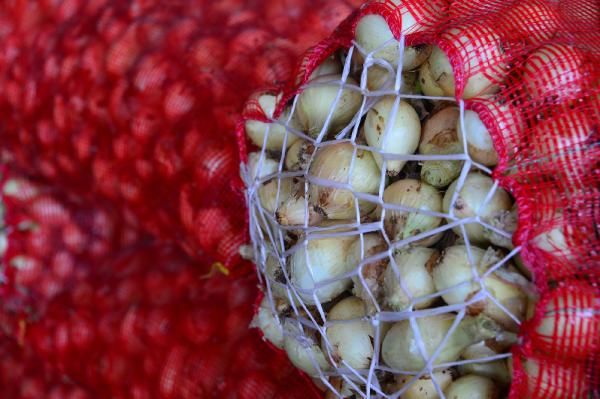 Adana sebze halinde soğanın kilosu 75 kuruşa indi