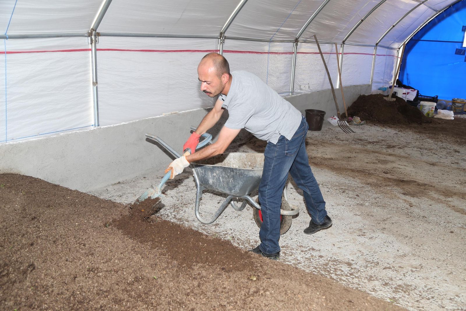 ABD'den getirdiği 400 bin solucanla organik gübre üretiyor