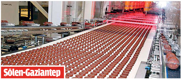 Bacasız karanlık fabrikalar