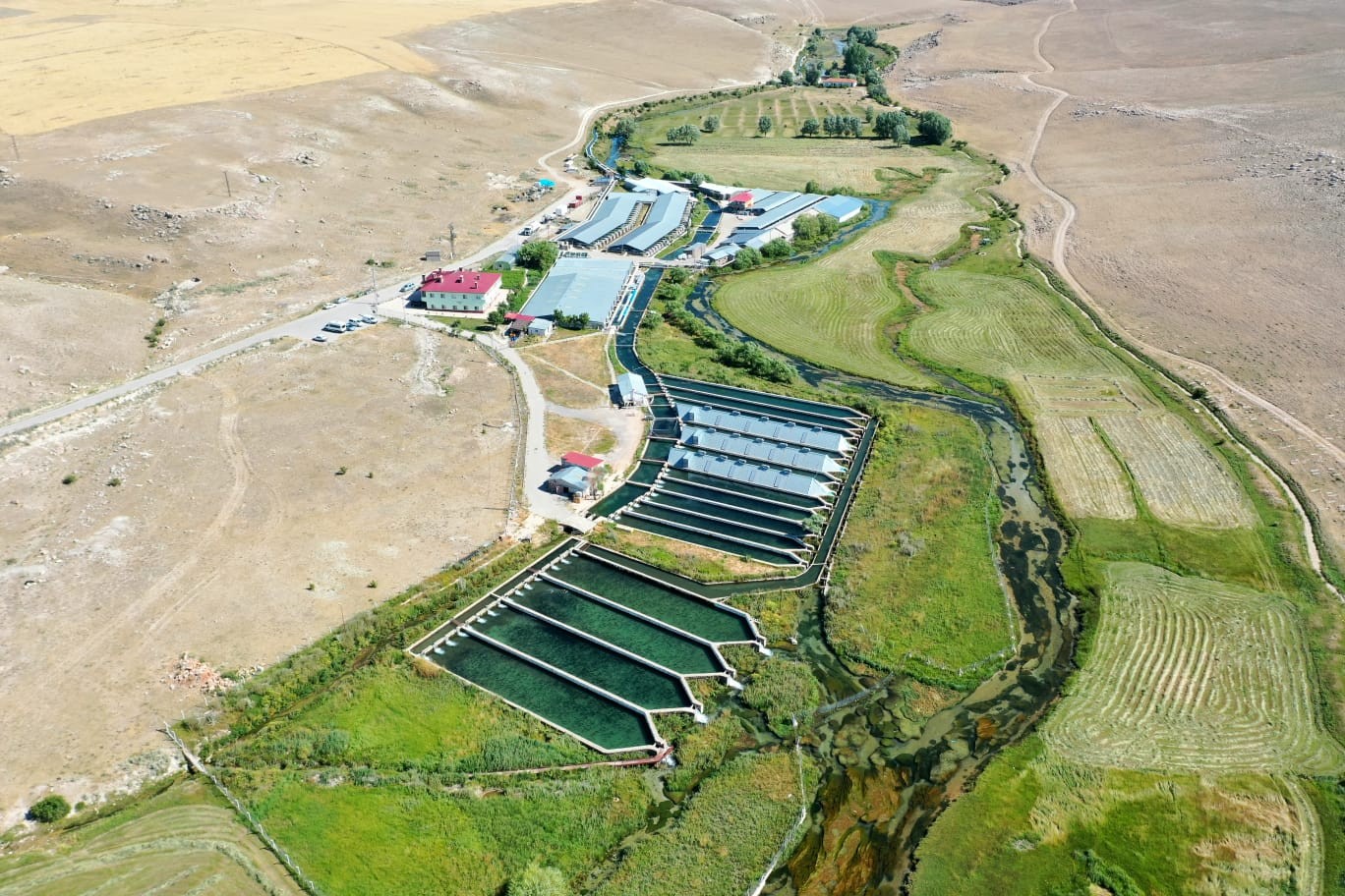 Denizi olmayan Kayseri'den Japonya ve Rusya'ya 'Somon' ihracatı