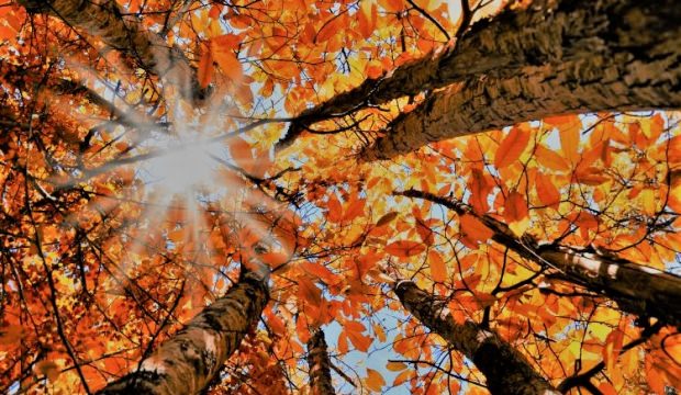 Sonbahar Ekinoksu nedir? 2018 Sonbahar Ekinoksu'nun özellikleri neler? (23 Eylül 2018)