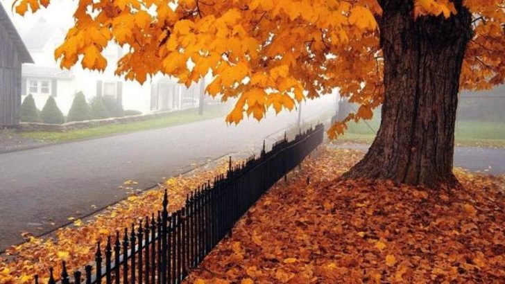 Sonbahar Ekinoksu nedir? 2018 Sonbahar Ekinoksu'nun özellikleri neler? (23 Eylül 2018)