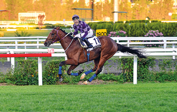 Merakla beklenen 91. Gazi Koşusu'nu Piano Sonata kazandı
