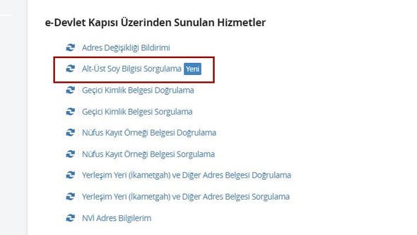 Soy Ağacımı Nasıl Öğrenirim? Soyağacı Öğrenme Giriş