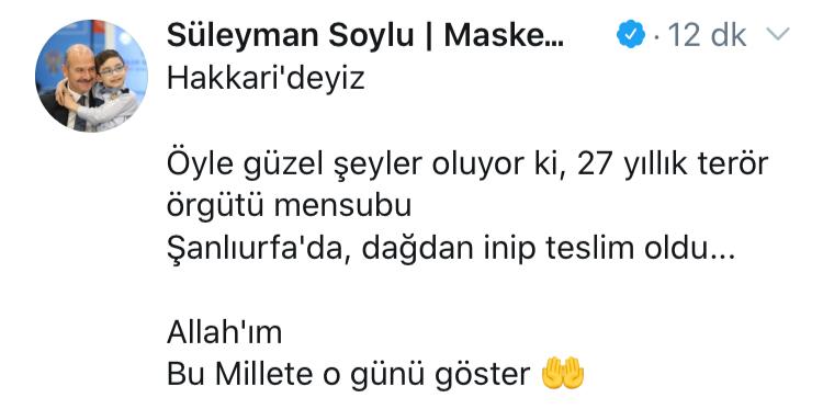 Bakan Soylu: 27 yıllık terör örgütü mensubu dağdan inip teslim oldu