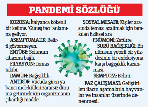 2020'nin dili: Koronaca