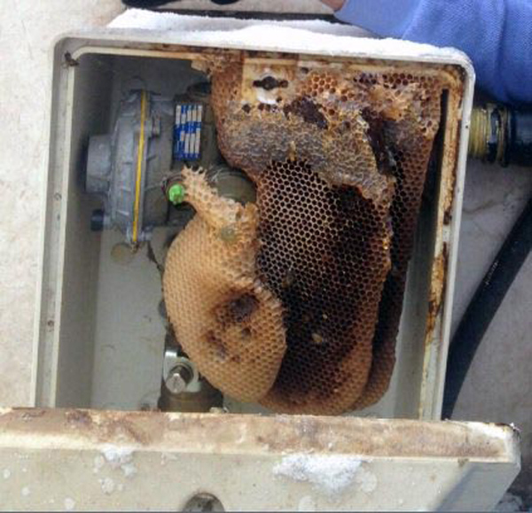 Doğalgaz arızası için gelen ekipler hayatının şokunu yaşadı!