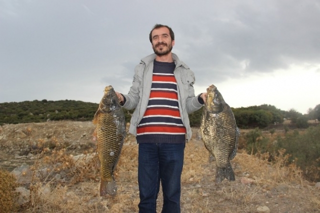 Sular çekildi, elleriyle 15 kiloluk balık yakaladı