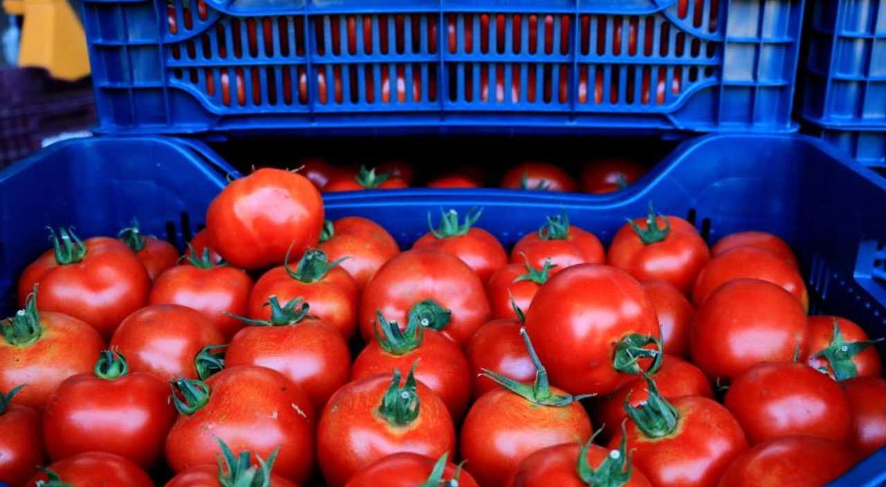 Ucuz sebze meyve için tarih verildi: Hasatlar başladı fiyatlar düşüşe geçti!