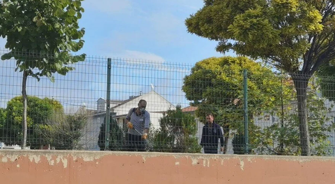 Okulda arı paniği: 15 öğrenci hastaneye kaldırıldı, eğitime 1 gün ara verildi