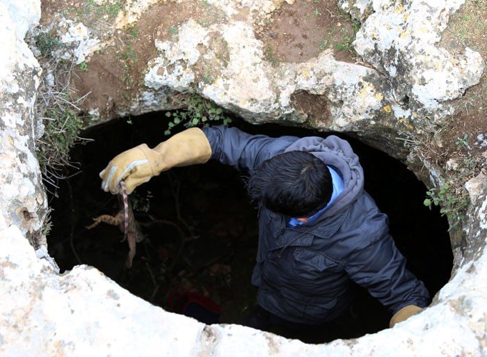 Türkiye'nin en büyük sürüngeni ölü bulundu!