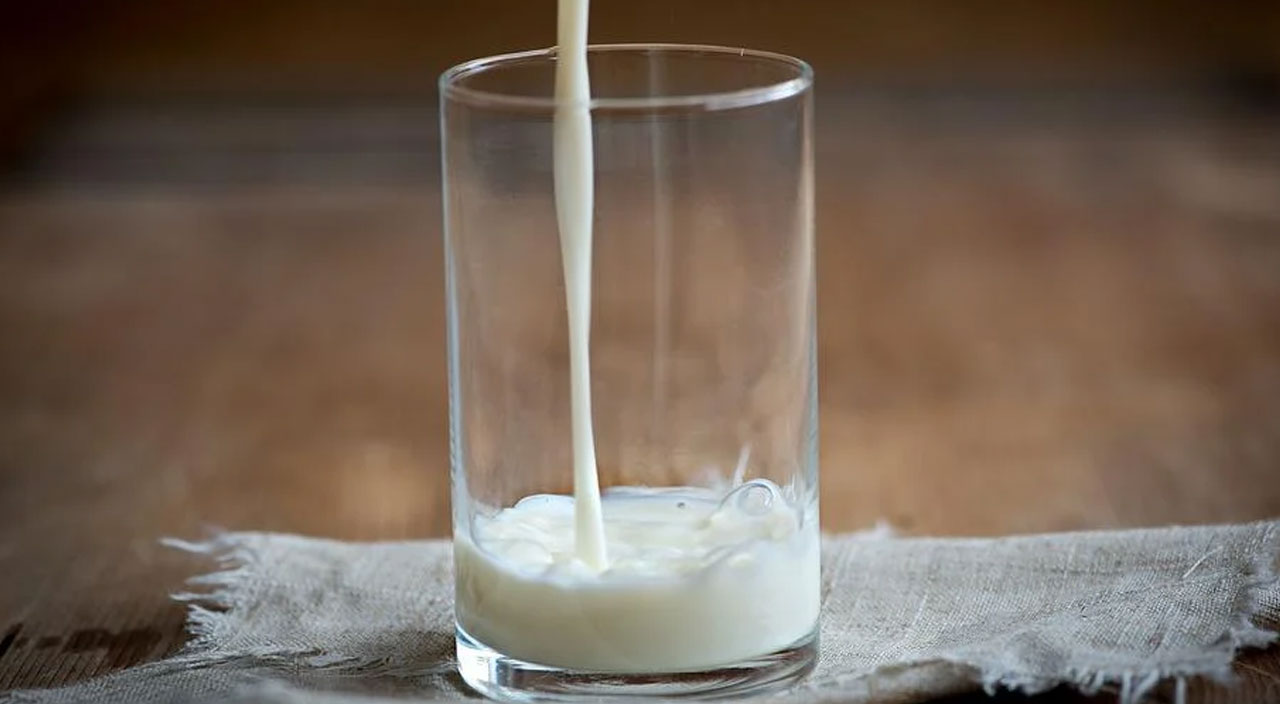 İki yeni araştırma doğruları altüst etti: Süt de balık da kanser yapıyor