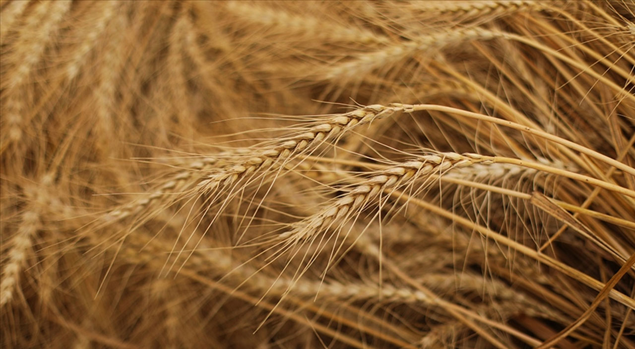 ABD basınından dikkat çeken Türkiye analizi: Ankara’nın yaklaşımı Batı’ya ders olsun