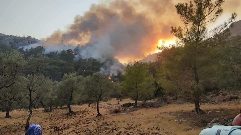Yatağan alev alev! Yangına müdahale sürüyor