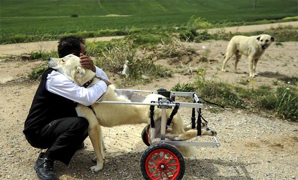 Cumhurbaşkanı Erdoğan'ın oyu, Filistin direnişinin sembol fotoğrafına