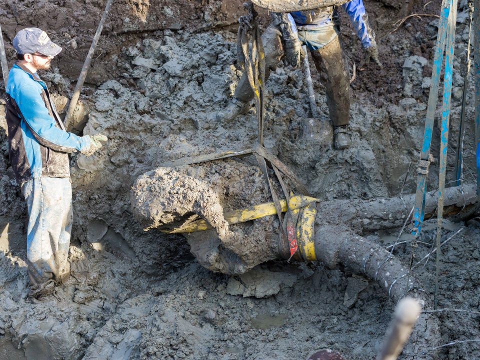 Tarla sürerken tesadüfen buldu!