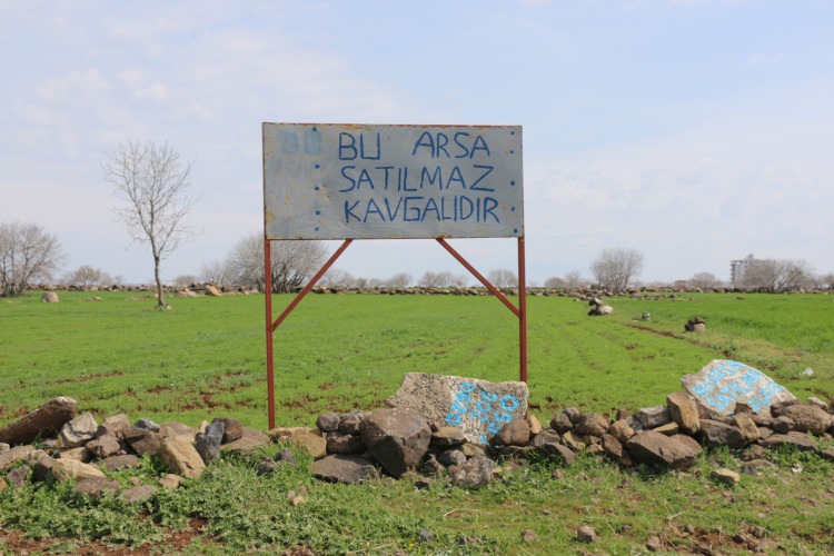 Şanlıurfa'da tarladaki tabelayı gören bir daha bakıyor!