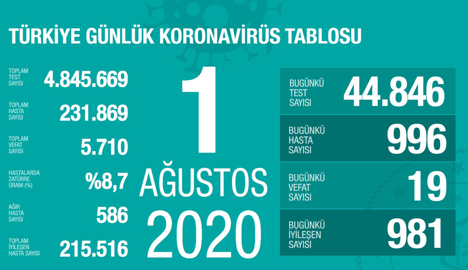 Türkiye'de Covid-19'dan bugün 19 kişi hayatını kaybetti
