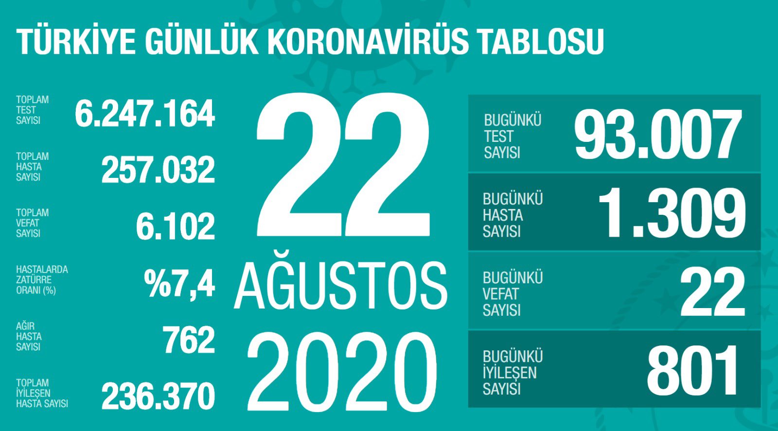 Türkiye'de Covid-19'dan bugün 22 kişi hayatını kaybetti