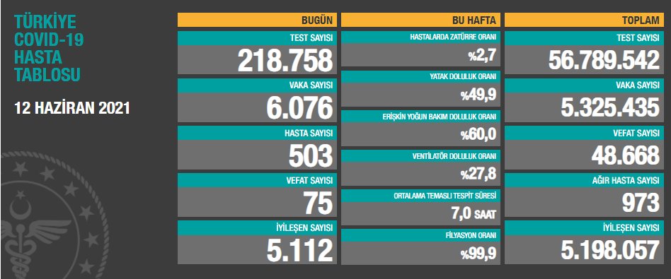 12 Haziran koronavirüs tablosu
