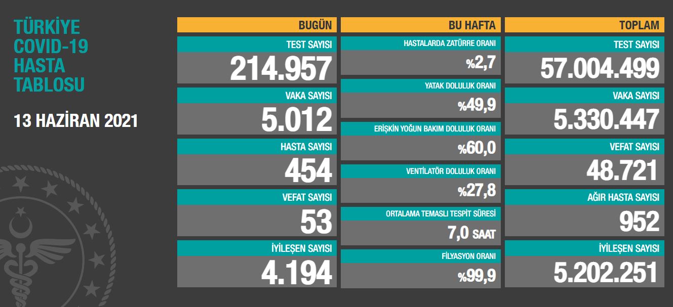 13 Haziran koronavirüs tablosu
