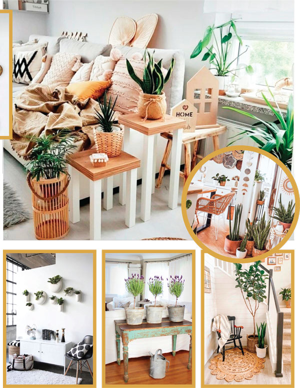 Unutulmuş köşeleri yeşillendirme zamanı