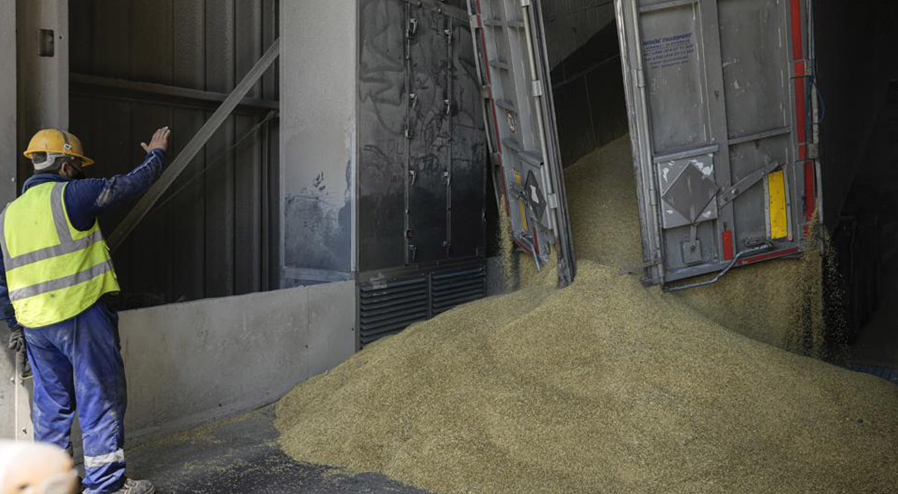 Putin tahıl ihracatı için şartını açıkladı: Kısıtlama kalkarsa 50 milyon ton için hazırız