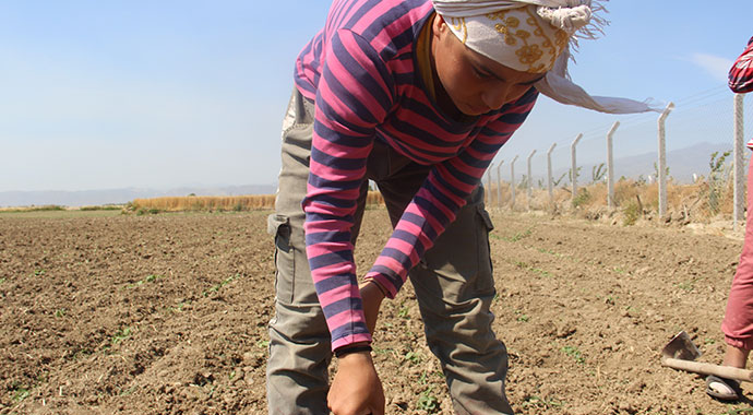 Milli karateci tarlada çapa sallayarak şampiyonaya hazırlanıyor