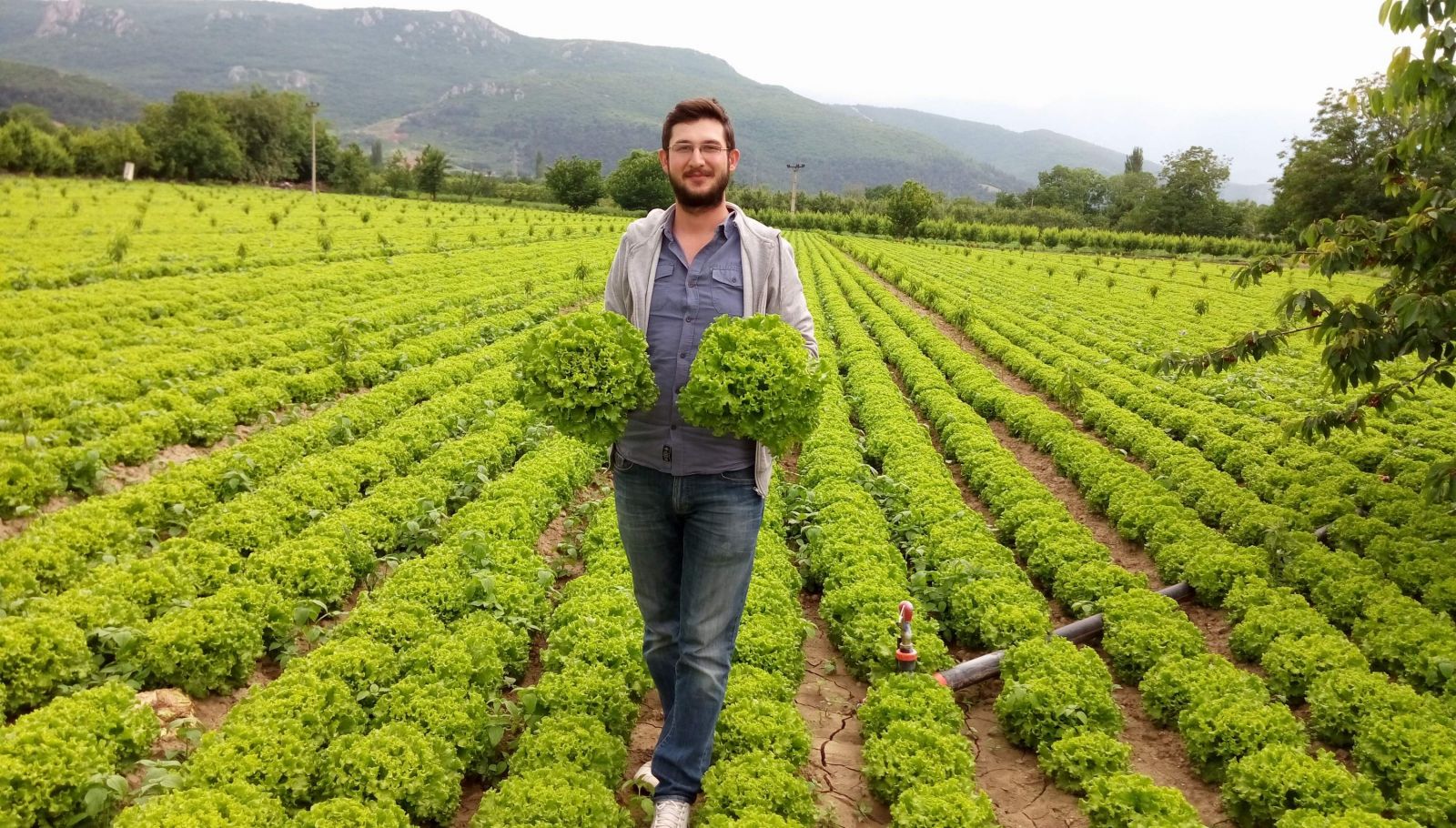 Çarşı-pazarda 2 lira, tarlada 30 kuruşa alan yok