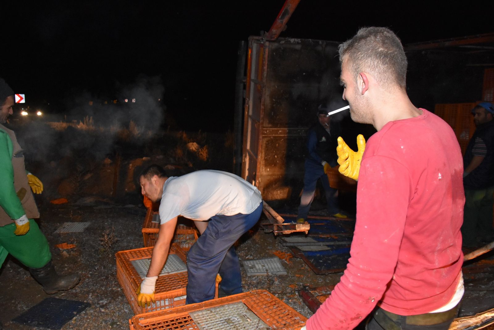 Tavuk yüklü kamyon devrildi, hayvanlar telef oldu Tavuk yüklü kamyon devrildi, hayvanlar telef oldu