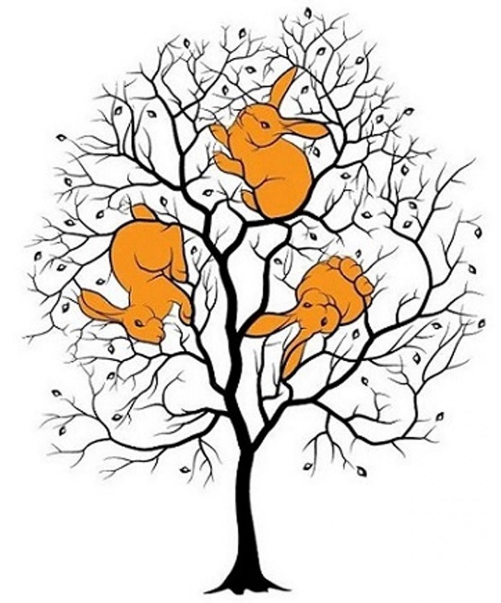 Ağacın içinde kaç tavşan gizli? Yüksek zekaya sahip kişiler 5 saniye içinde cevabı yapıştırıyor Ağacın içinde kaç tavşan gizli? Yüksek zekaya sahip kişiler 5 saniye içinde cevabı yapıştırıyor