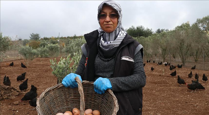 Tavuk kümesi İŞKUR desteğiyle çiftliğe dönüştü