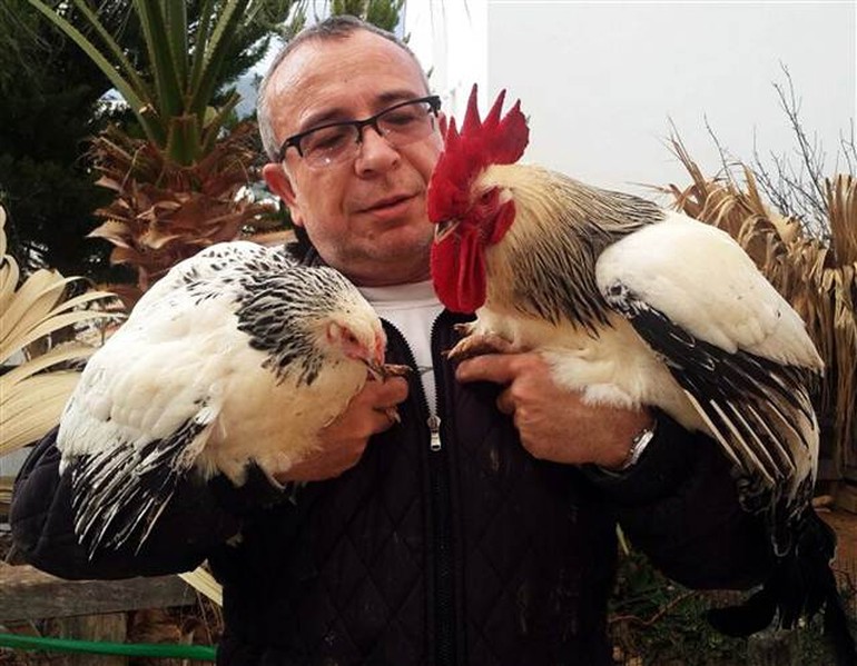 Bodrum'da yetiştirdiler... Çorbası 800-1000 dolar...