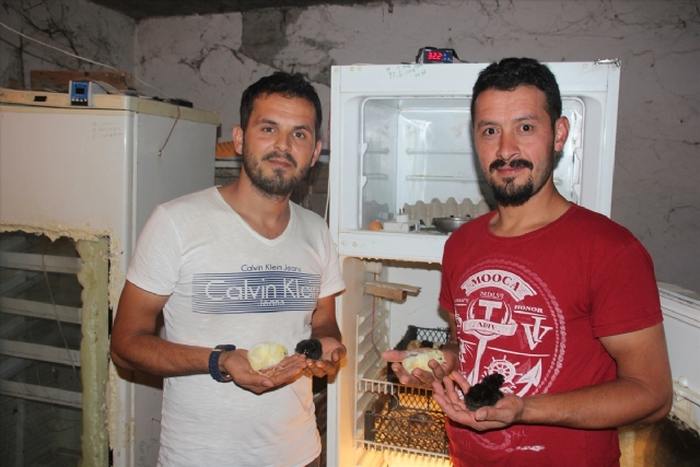 İnanmayacaksınız ama gerçek! Bu yavrular buzdolabından çıktı