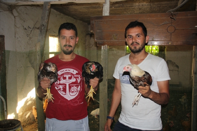 İnanmayacaksınız ama gerçek! Bu yavrular buzdolabından çıktı