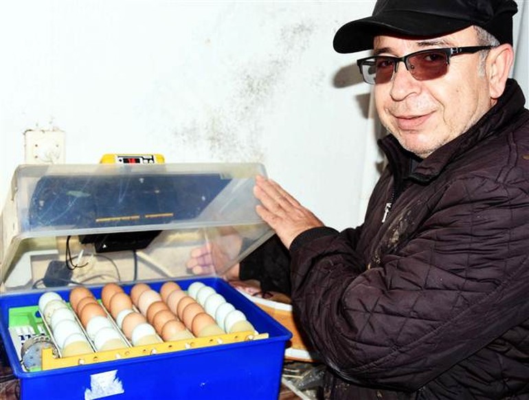 Bodrum'da yetiştirdiler... Çorbası 800-1000 dolar...