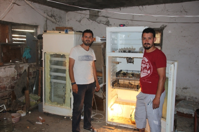 İnanmayacaksınız ama gerçek! Bu yavrular buzdolabından çıktı