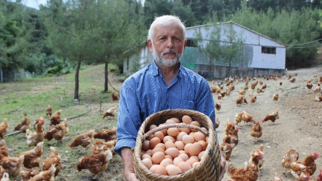 Tavuklara çocuğu gibi bakıyor, onlar da para basıyor