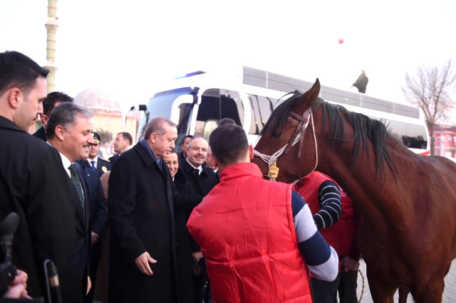 Cumhurbaşkanı Erdoğan'a Malatya'da 'tay' sürprizi