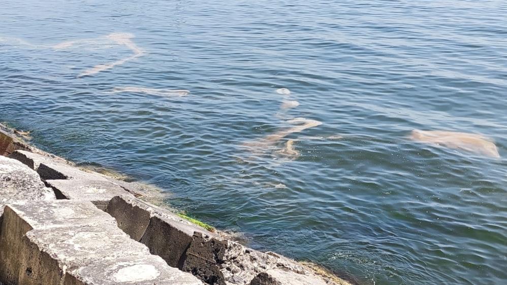 Tekirdağ kıyıları turuncu renge boyandı