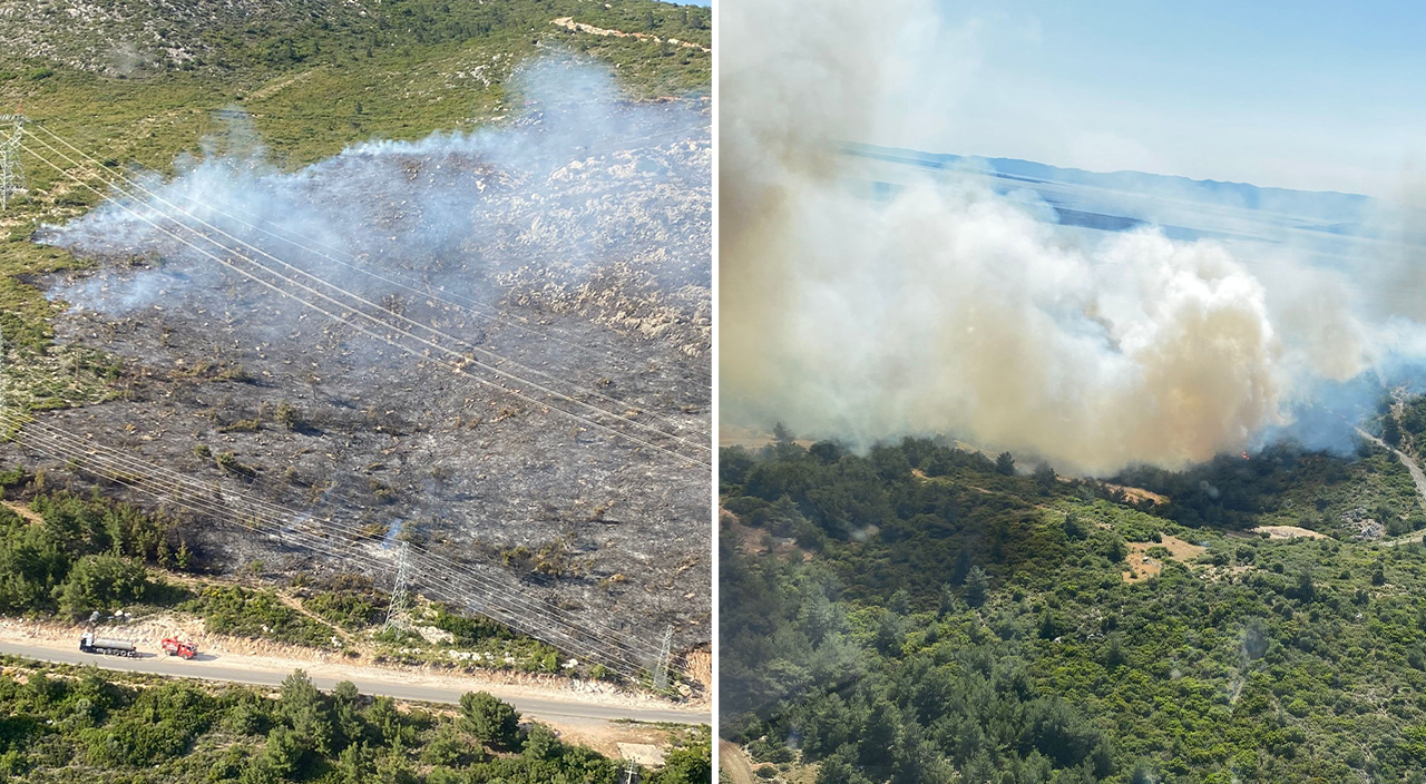 İzmir’deki orman yangınlarında 12 hektarlık alan zarar gördü