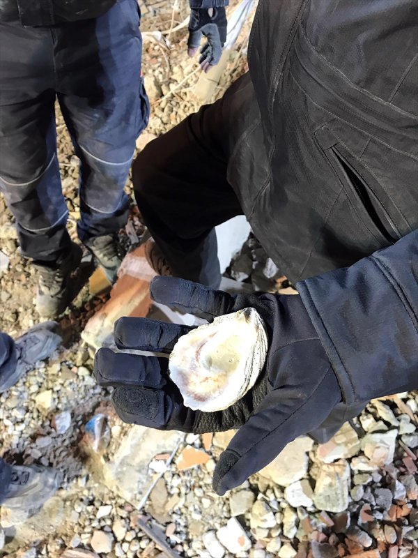 Çöken binanın enkazından çıkan deniz kabukları görüntülendi