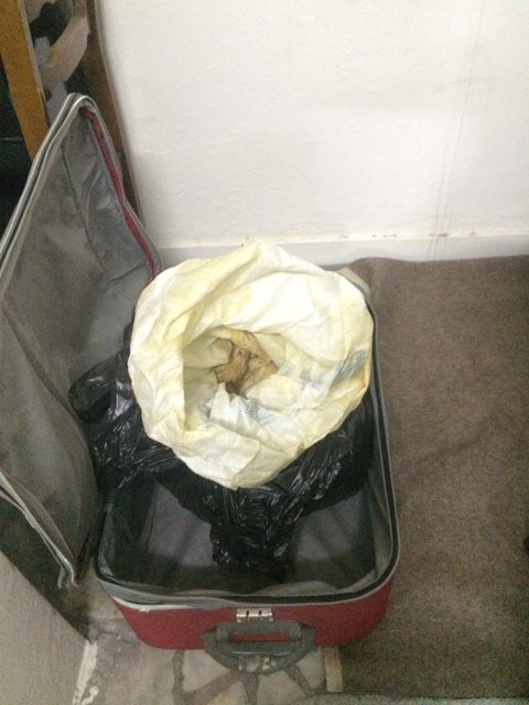 İstanbul'da 112 kilogram patlayıcı ele geçirildi