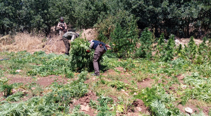 Terörün finans kaynağına büyük darbe