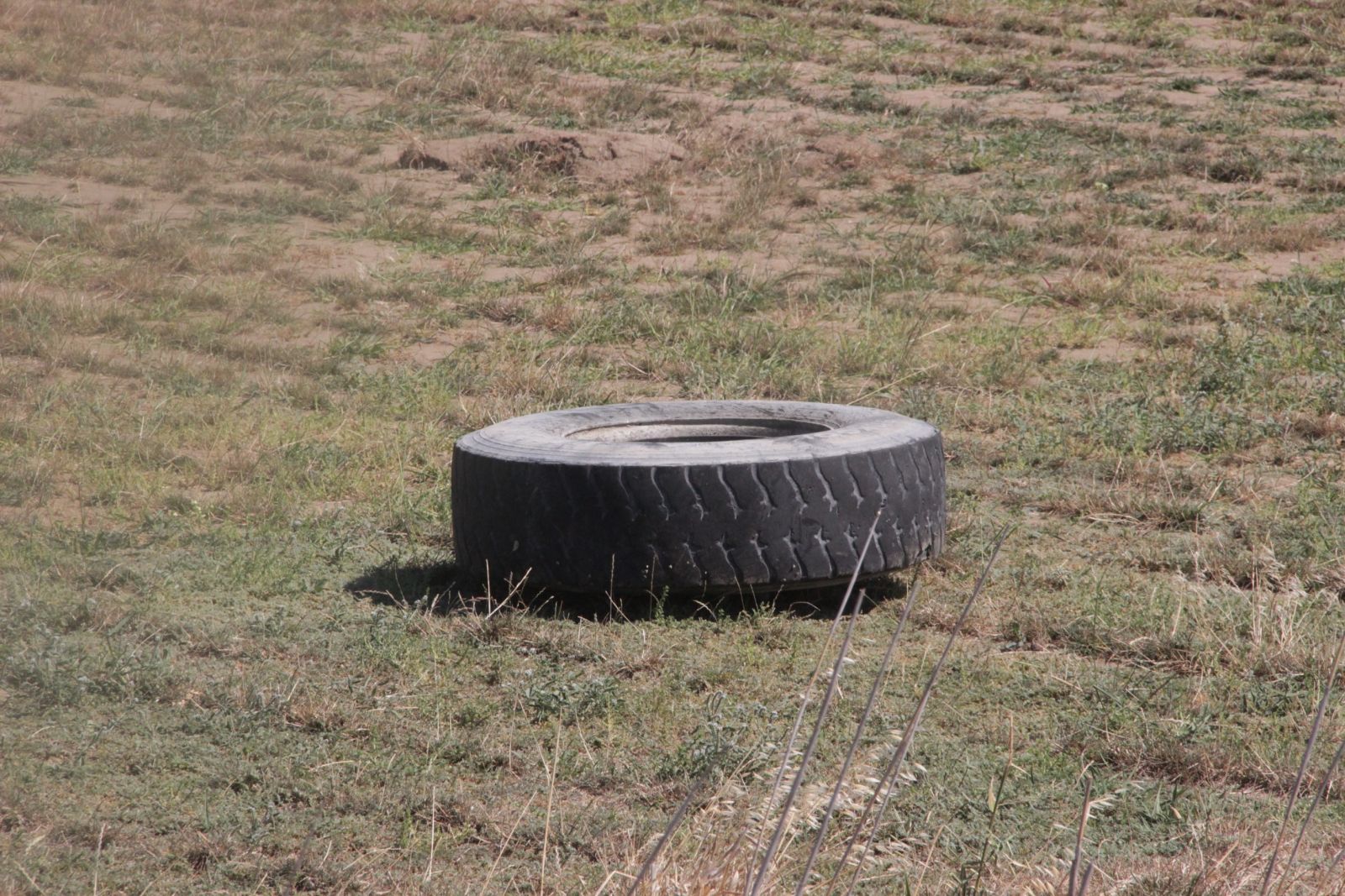 Kamyondan kopan lastik dehşet saçtı: 1 ölü, 5 yaralı