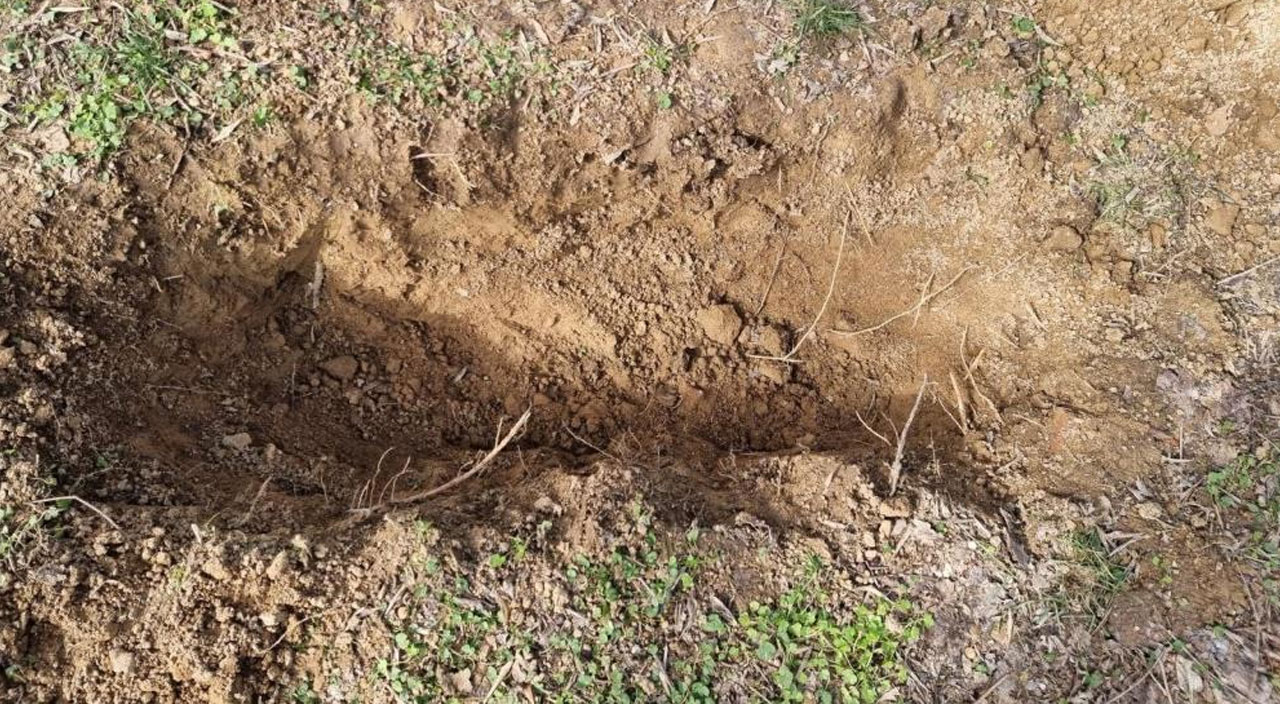 Mezar kazılıyor ihbarına gelen ekipler korkunç manzara ile karşılaştı