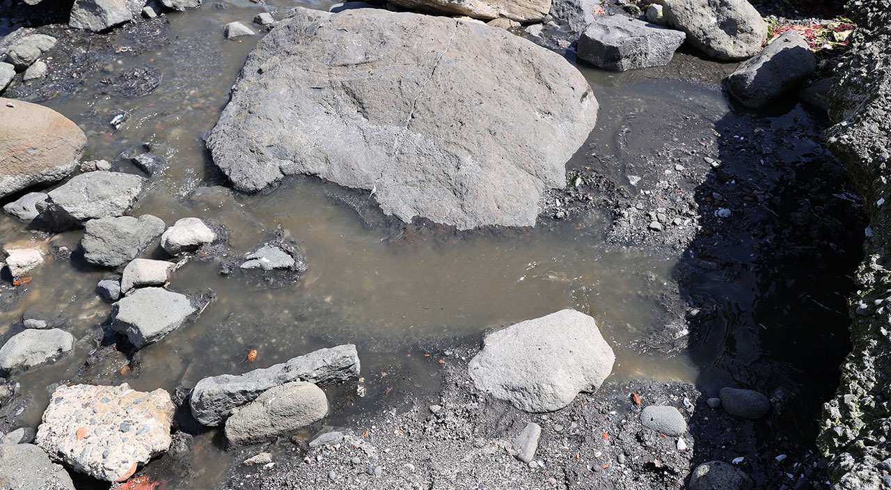 İstanbul'da korkutan manzara: Kolağası Deresi enfeksiyon kaynağı haline geldi