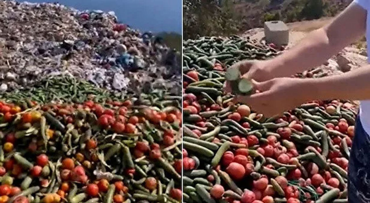 Çöpe dökülen sebzeler için Ticaret bakanlığı devreye girdi